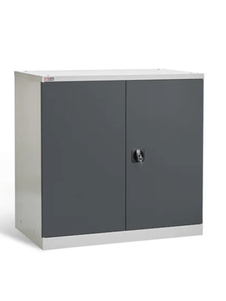 Шкаф инструментальный ДиКом ВЛ-051-02 купить в Мурманске Шкаф инструментальный ДиКом ВЛ-051-02 купить в Мурманске