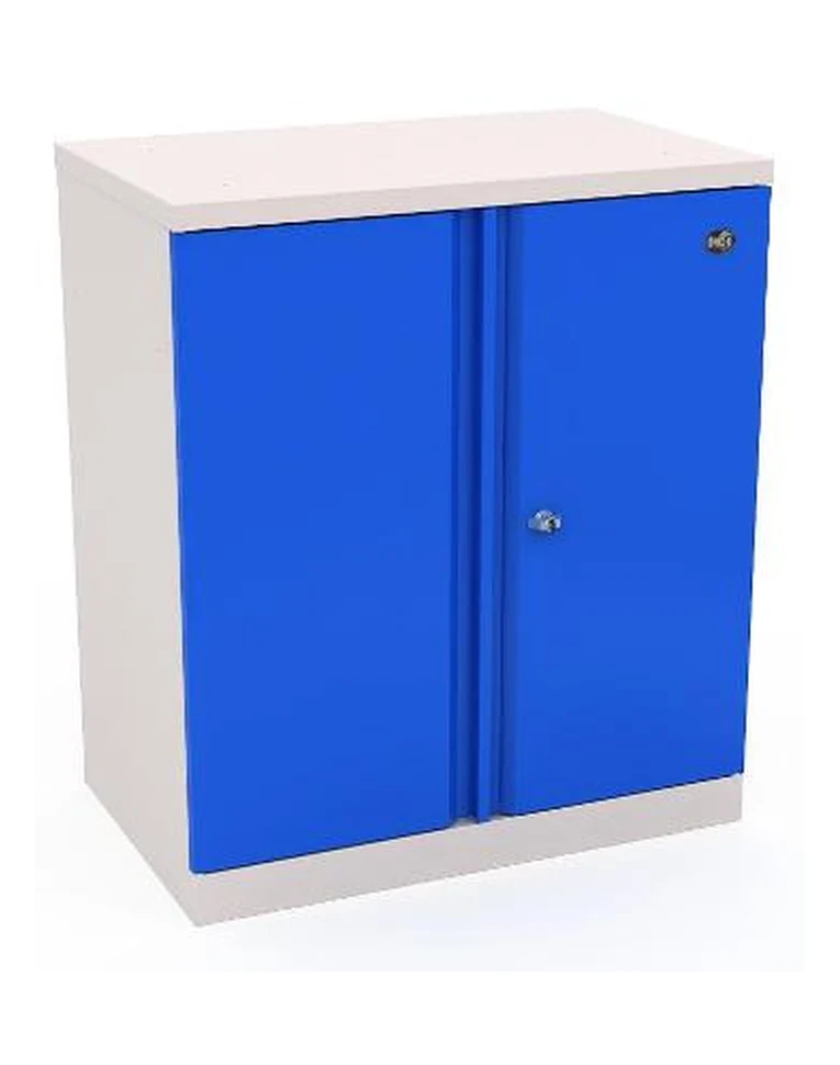 Шкаф инструментальный ERGO 181/2 №1 купить в Мурманске