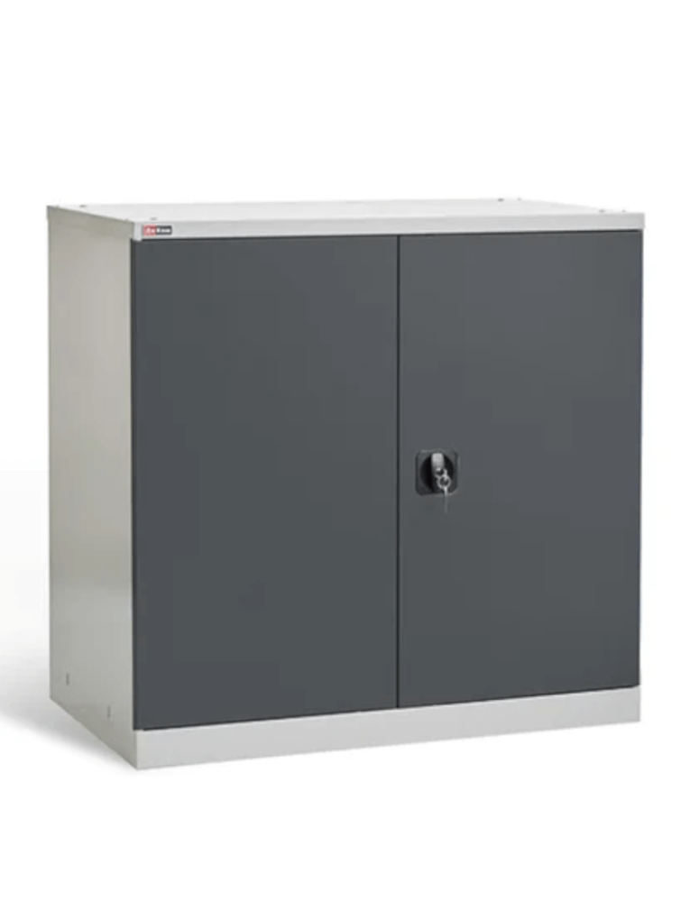 Шкаф инструментальный ДиКом ВЛ-051 (7038/7016) купить в Мурманске Шкаф инструментальный ДиКом ВЛ-051 (7038/7016) купить в Мурманске